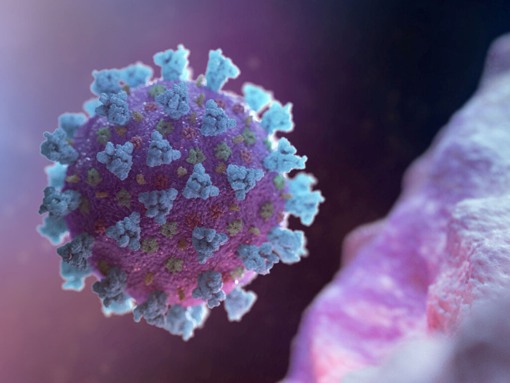 Ученые сообщили, сколько часов коронавирус живет на коже человека