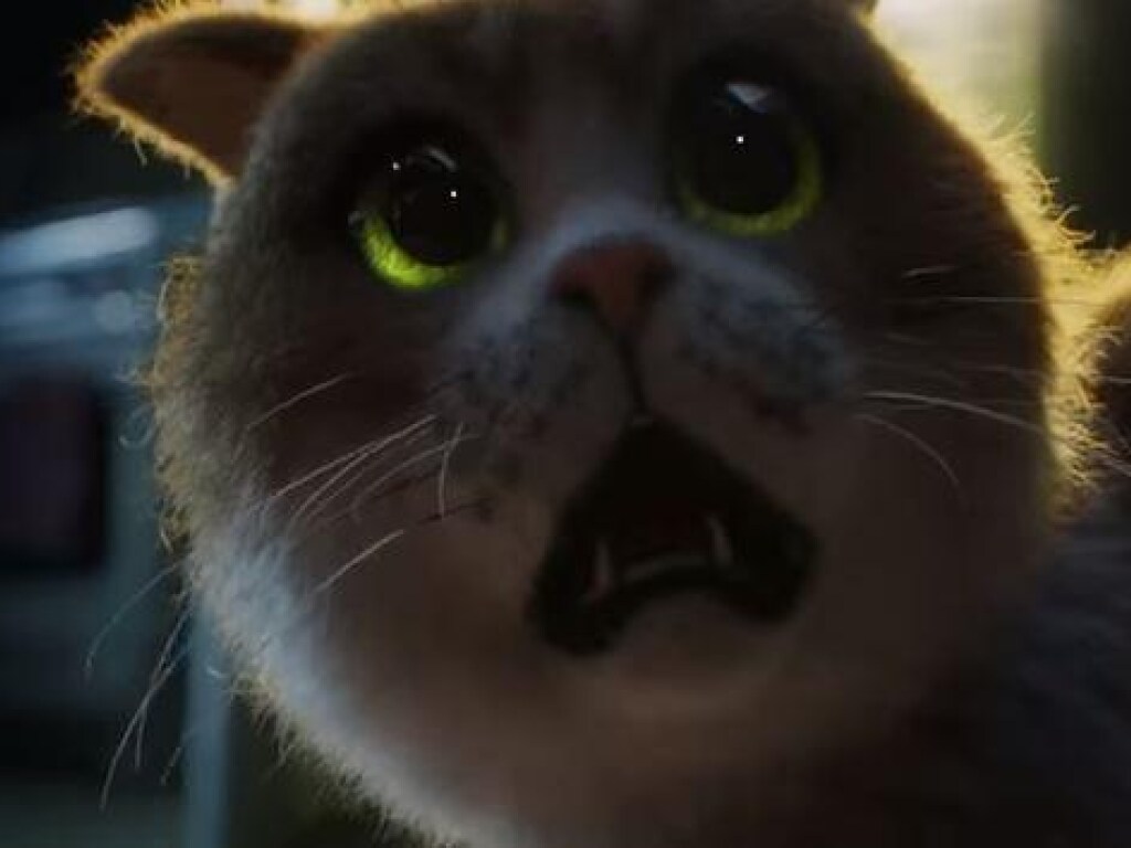 О самом страшном овоще: В Сети показали первый фильм ужасов для котов (ВИДЕО)