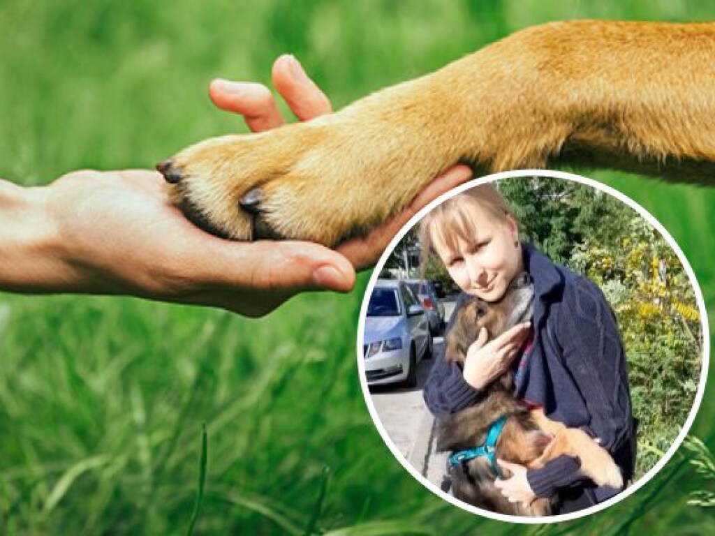 В Киеве девушка нашла собаку через 11 лет: невероятная история преданности (ФОТО, ВИДЕО)
