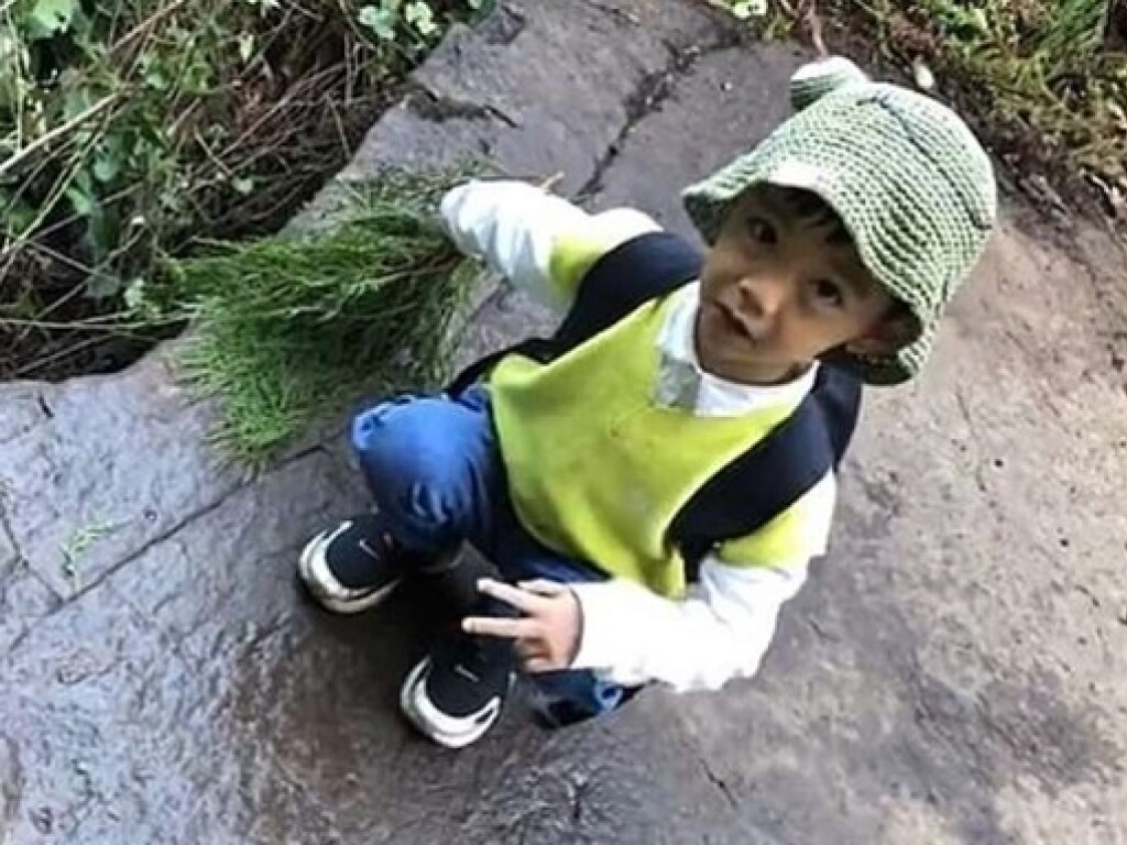 Пятилетний мальчик из Китая распознал следы динозавра (ФОТО)