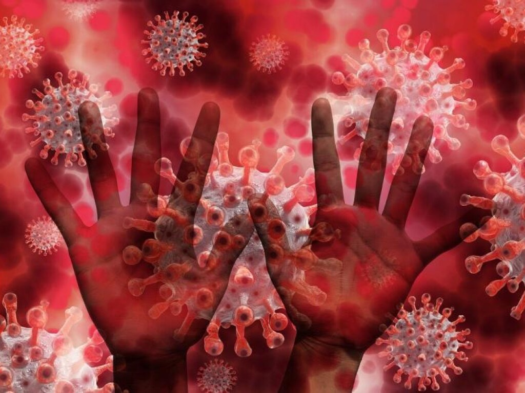 Ученые выяснили механизм проникновения коронавируса в клетки организма