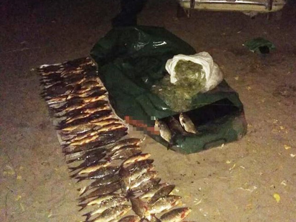 На Каховском водохранилище задержали браконьера с крупным уловом (ФОТО)