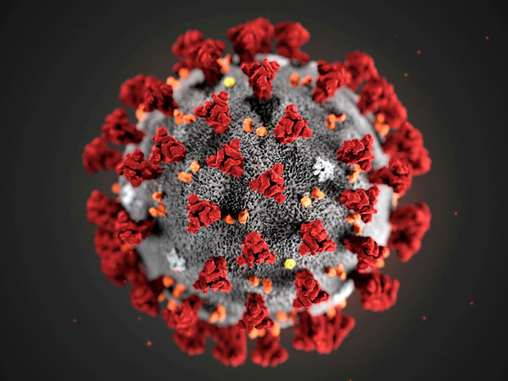 Коронавирус может запустить аутоиммунные заболевания &#8212; ученые