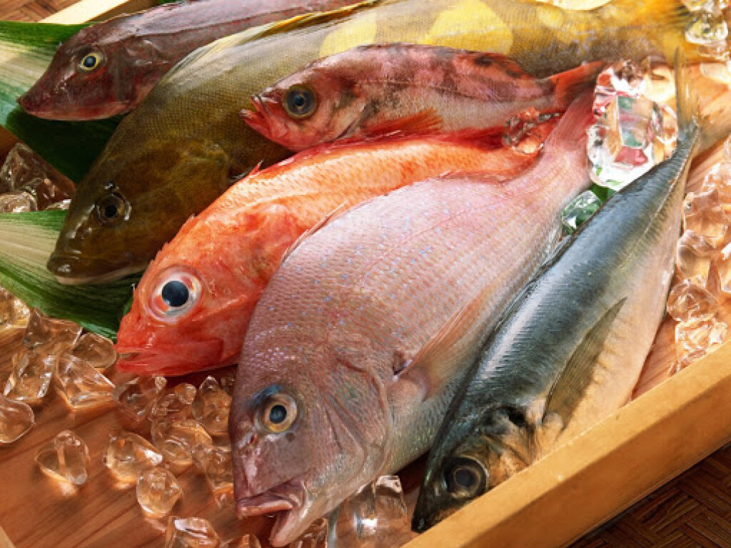 Специалист рассказал о том, какая рыба полезнее всего для здоровья