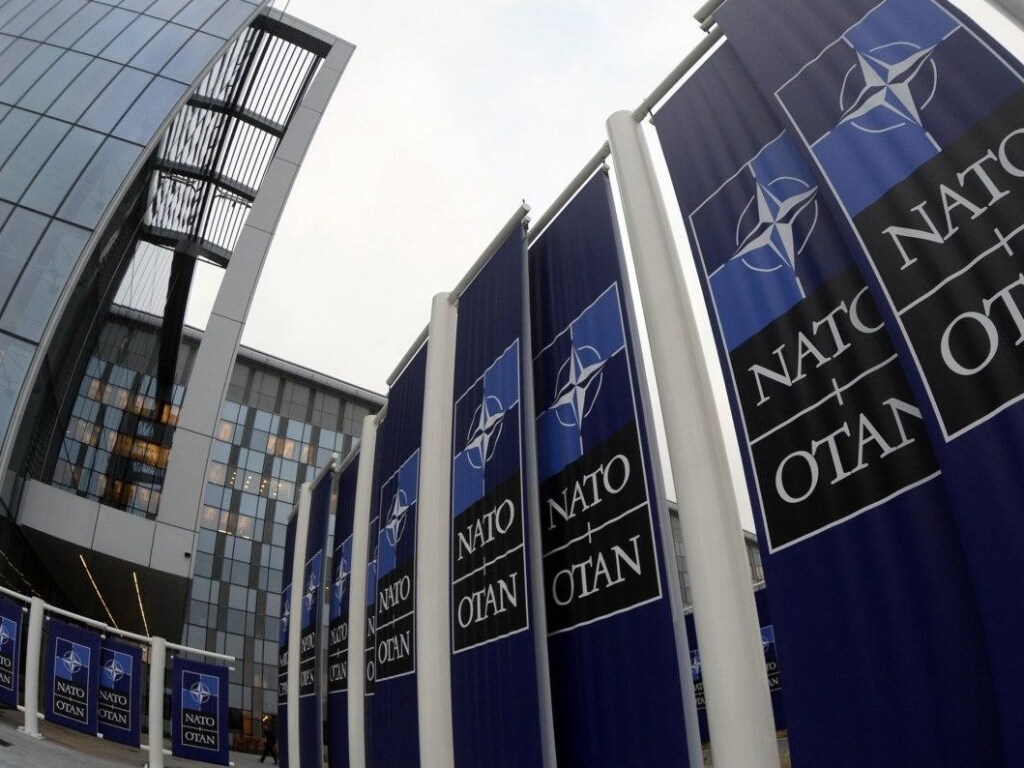 В Украине все еще носятся с идеей получить план действий по членству в НАТО &#8212; политолог