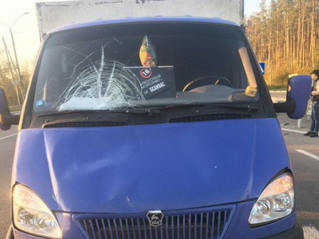 На Житомирщине парень на фургоне сбил молодую женщину (ФОТО)