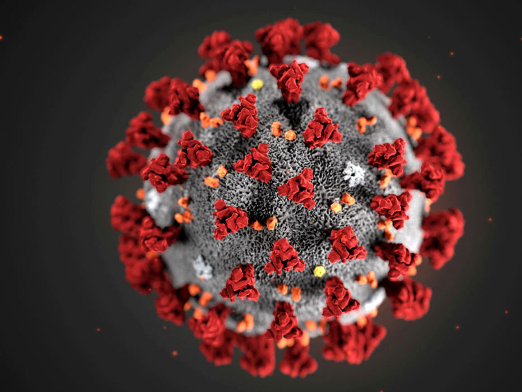 Медик рассказал, как коронавирус может передаваться от взрослых к детям