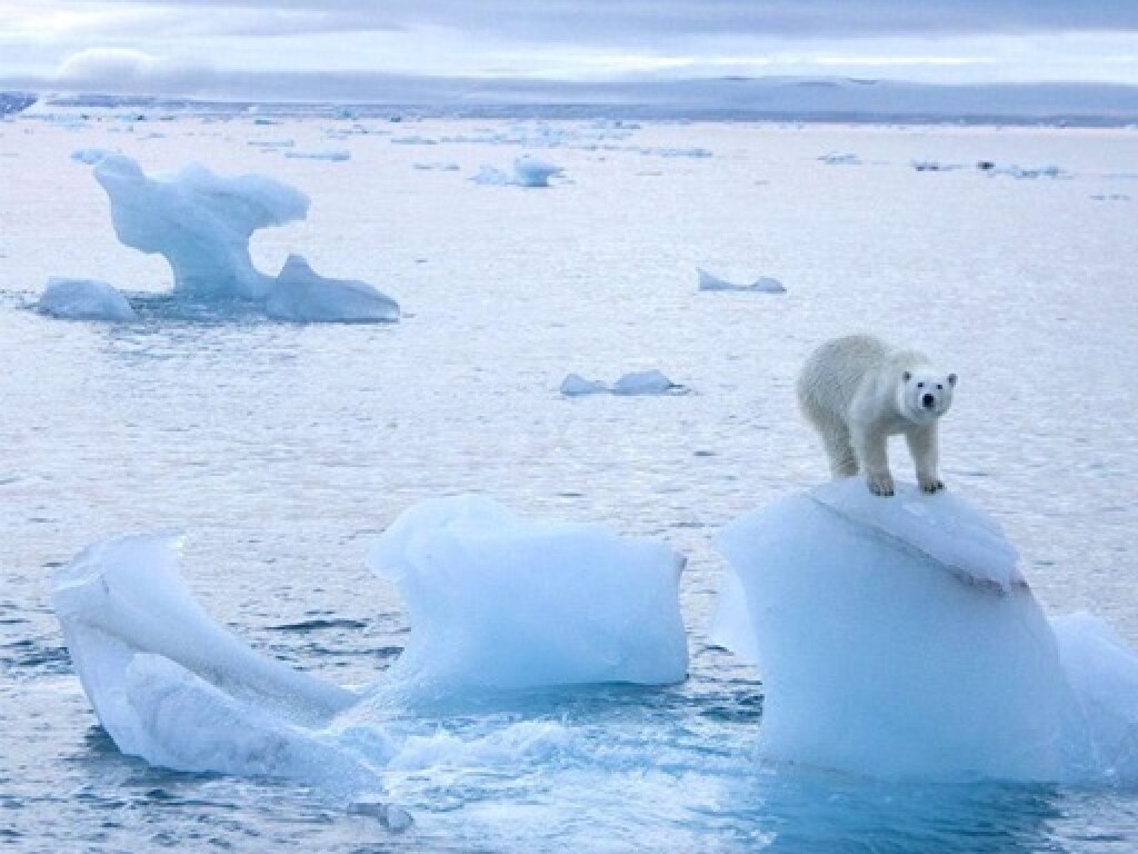 Море Лаптевых впервые не покрылось льдом