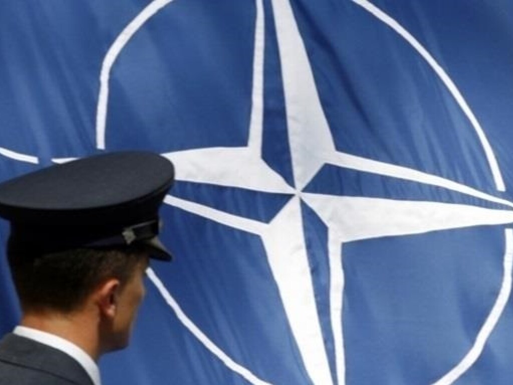 В США заявили о готовности Грузии стать членом НАТО