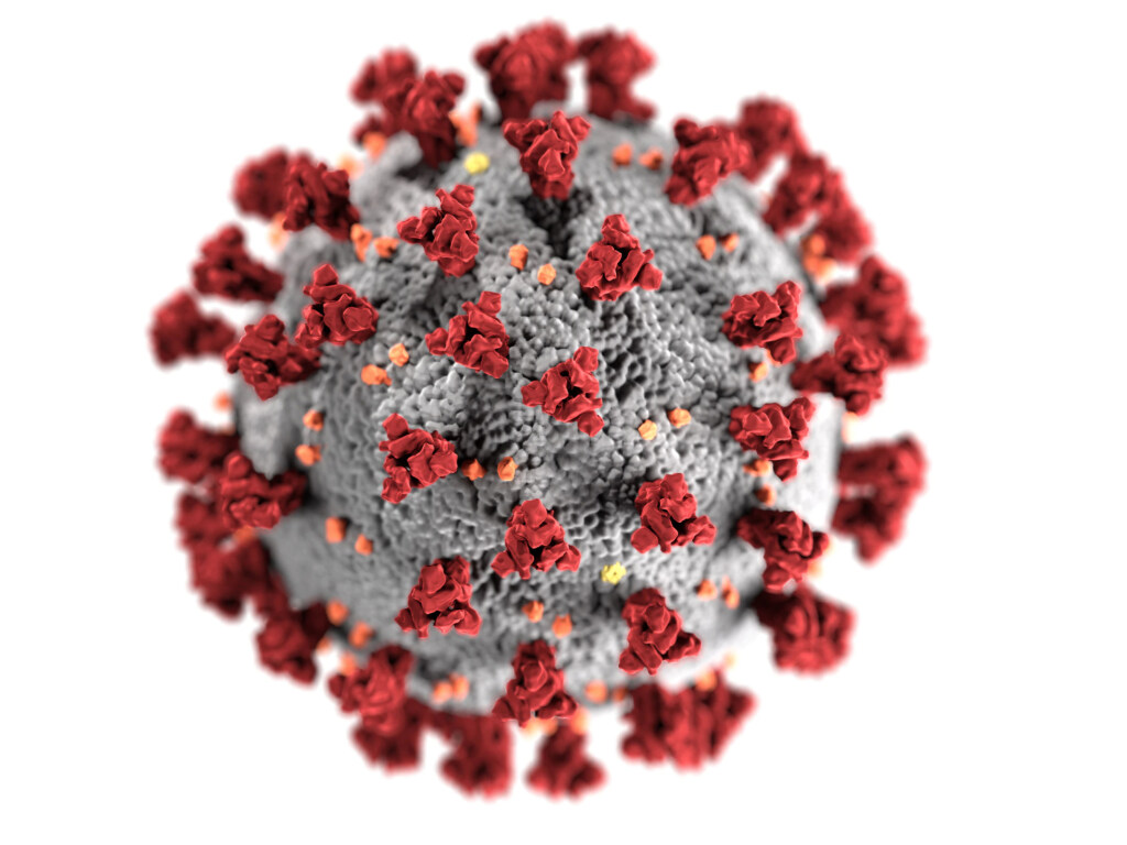Эксперт назвал единственный способ обнаружить бессимптомного носителя коронавируса
