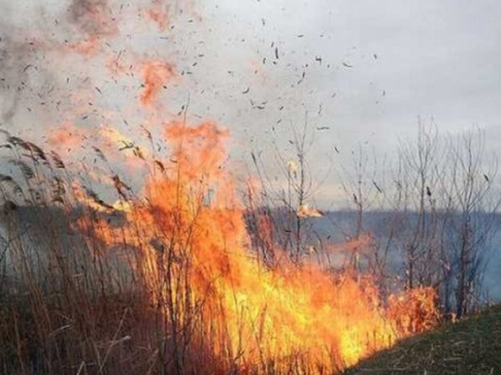 В Черкасской области шестые сутки горят торфяники (ВИДЕО)