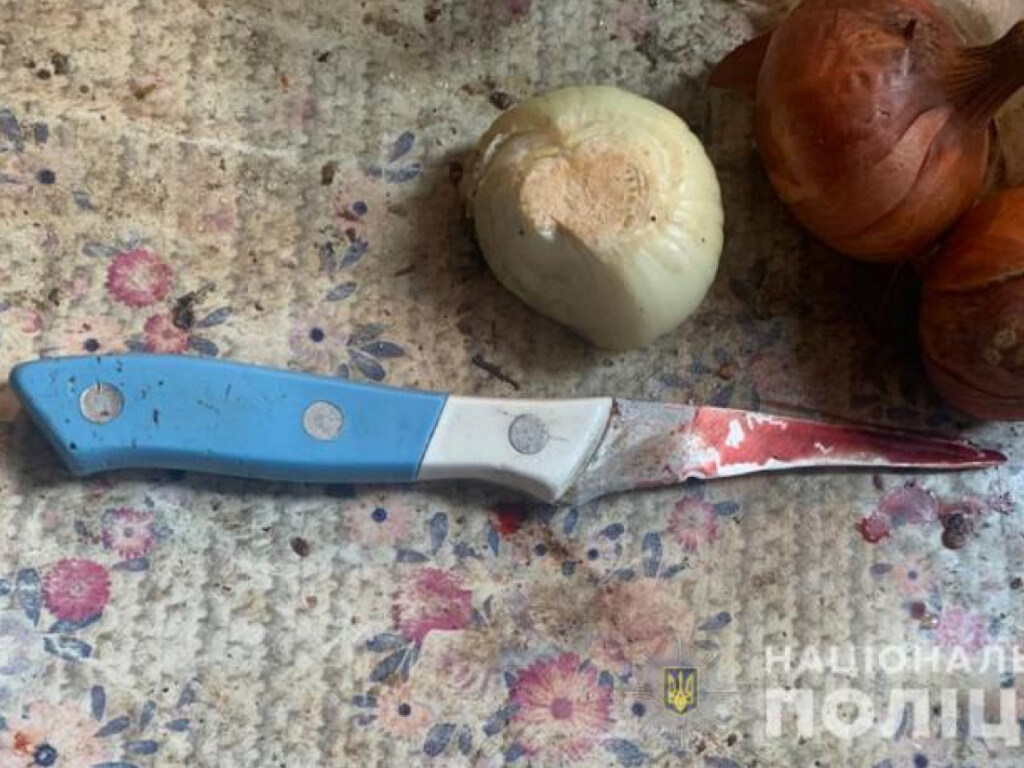 29-летний житель Одесской области во время застолья зарезал друга отца (ФОТО)