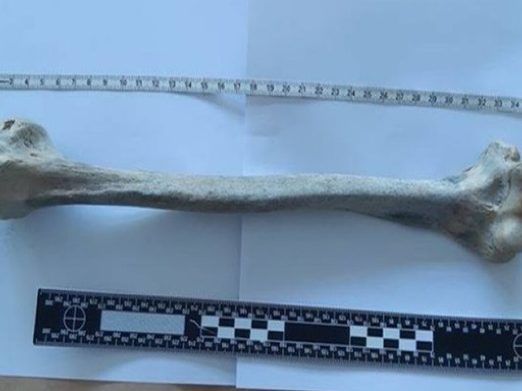 Житель Нидерландов нашел на пляже кость человека, которой около 1700 лет (ФОТО)