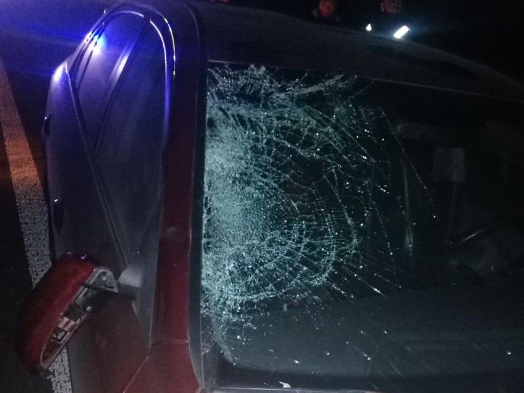 В Житомирской области киевлянин на Hyundai насмерть сбил пешехода (ФОТО)