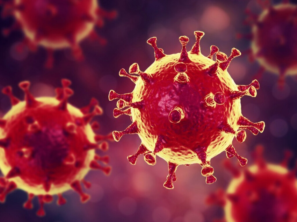 Новое исследование подтвердило формирование долгого иммунитета к коронавирусу