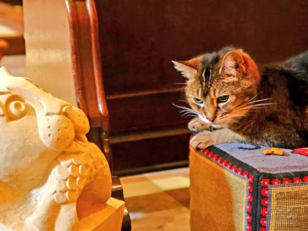 В лондонском соборе отпели кошку-любимицу королевы Елизаветы II (ФОТО)