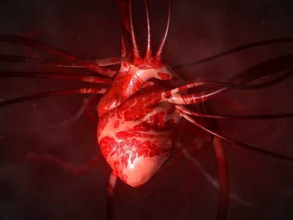Эксперты рассказали, как короронавирус влияет на сердце