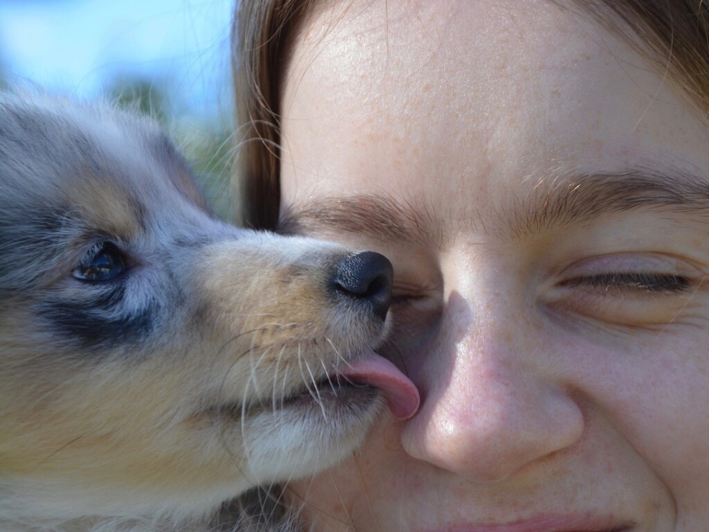 «Такой настырный»: щенок принудил хозяйку к поцелуям (ФОТО, ВИДЕО)