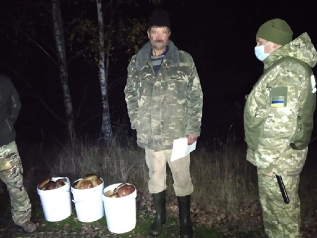 Пограничники дважды задерживали жителей соседних сел, собиравших грибы в чернобыльской зоне (ФОТО)