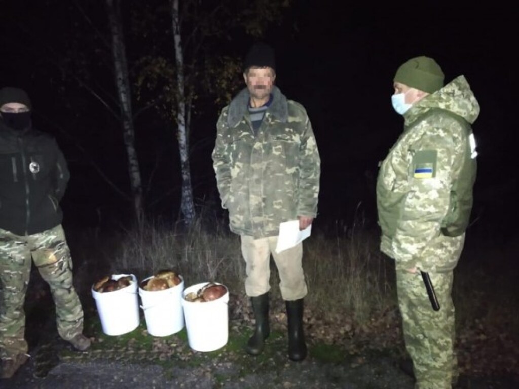 Два мужчины собрали 40 килограмм грибов в зоне ЧАЭС (ФОТО)