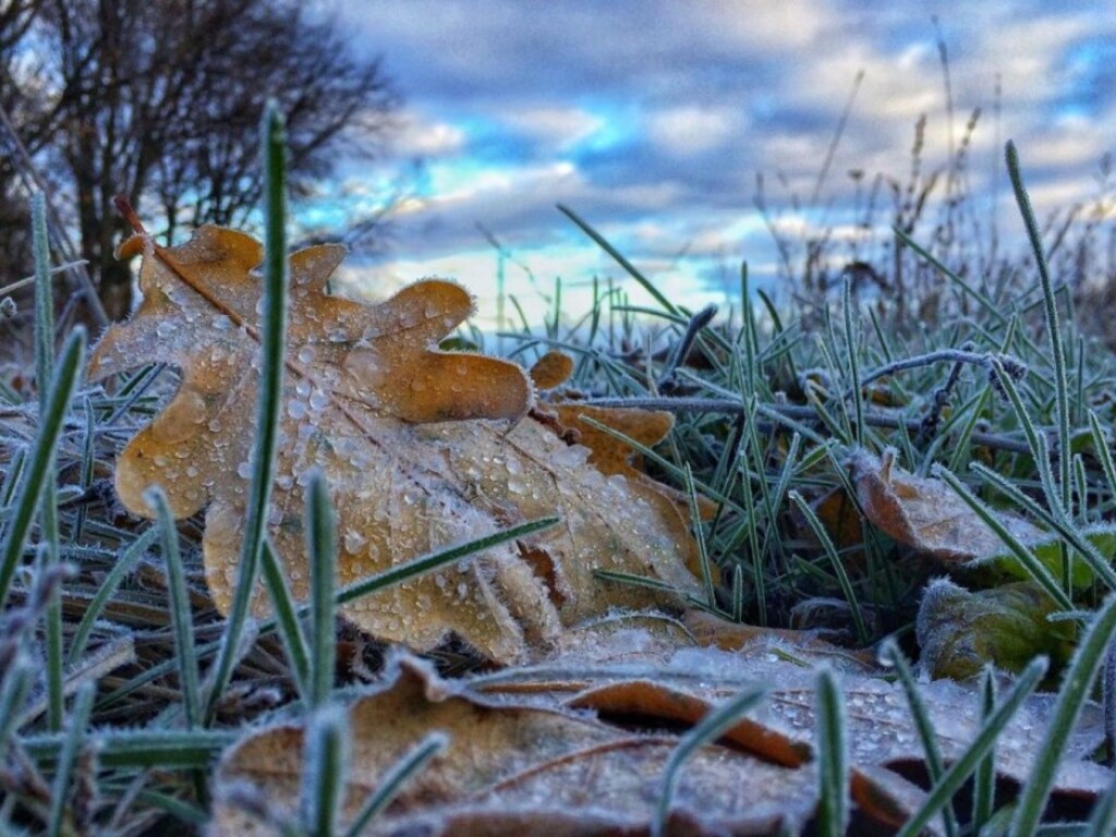 Погода на 6 ноября: в Украине будет прохладно и без осадков, ночью &#8212; заморозки