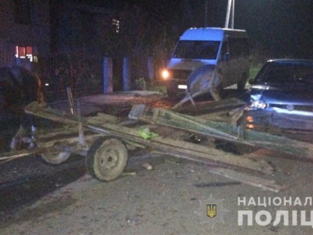 На Закарпатье пьяный водитель в иномарке врезался в запряженную телегу (ФОТО)