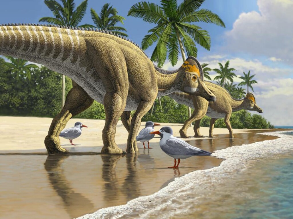Палеонтологи удивили находкой костей сухопутного динозавра