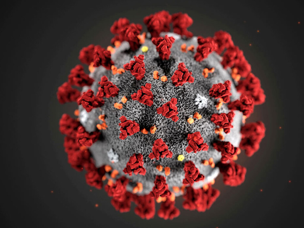 В Минсоцполитики высказались за бесплатные тесты на коронавирус