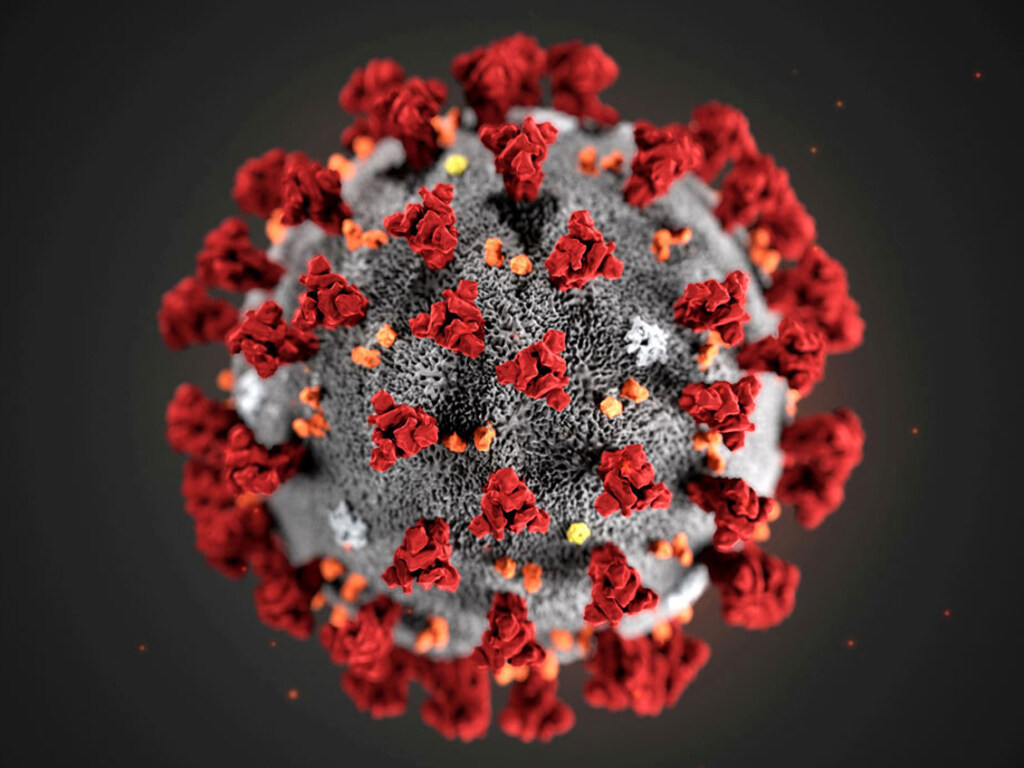 Инфекционист рассказал о сроках пребывания коронавируса в организме