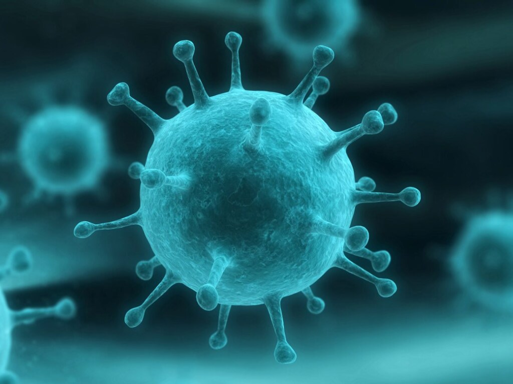 Из-за коронавируса практически исчез грипп – врач