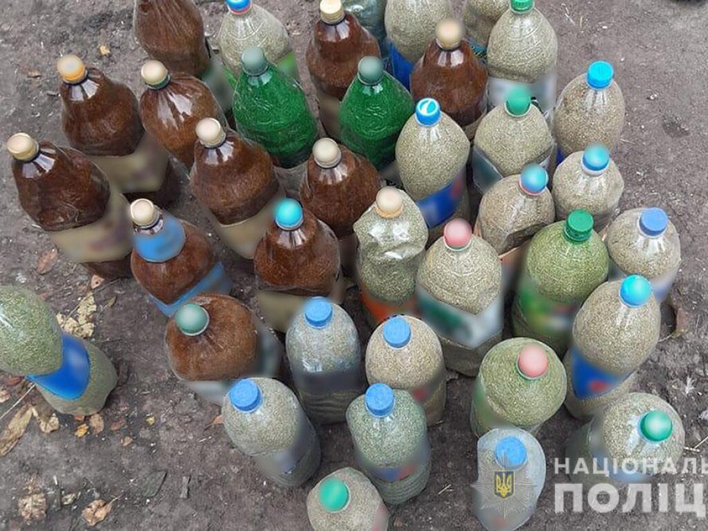 В лесу на Харькощине 38-летний мужчина вырастил марихуаны на 300 тысяч гривен (ФОТО)