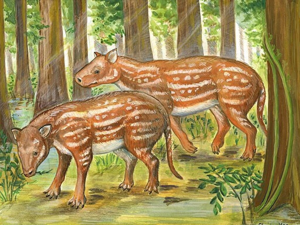 Обнаружены останки древнейшего животного: оно обитало на Земле 55 миллионов лет назад (ФОТО)