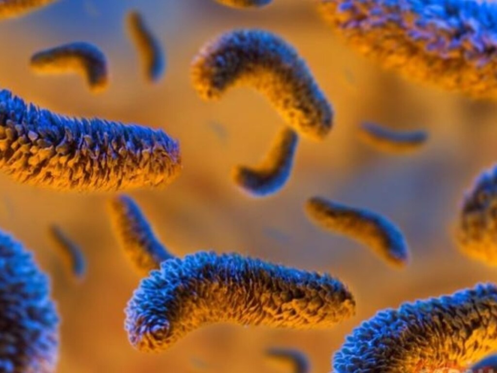 Ученые открыли десятки тысяч новых видов бактерий в океанах, почве и животных