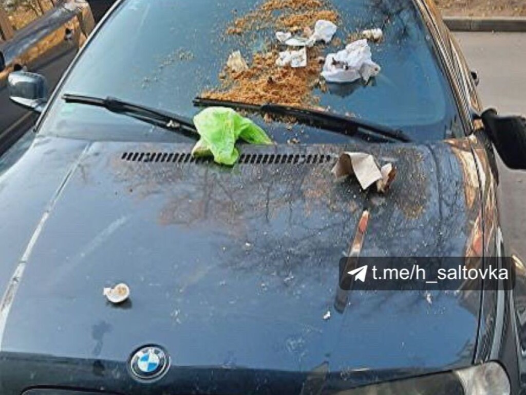 В Харькове «героя парковки» на BMW наказали жители дома (ФОТО)